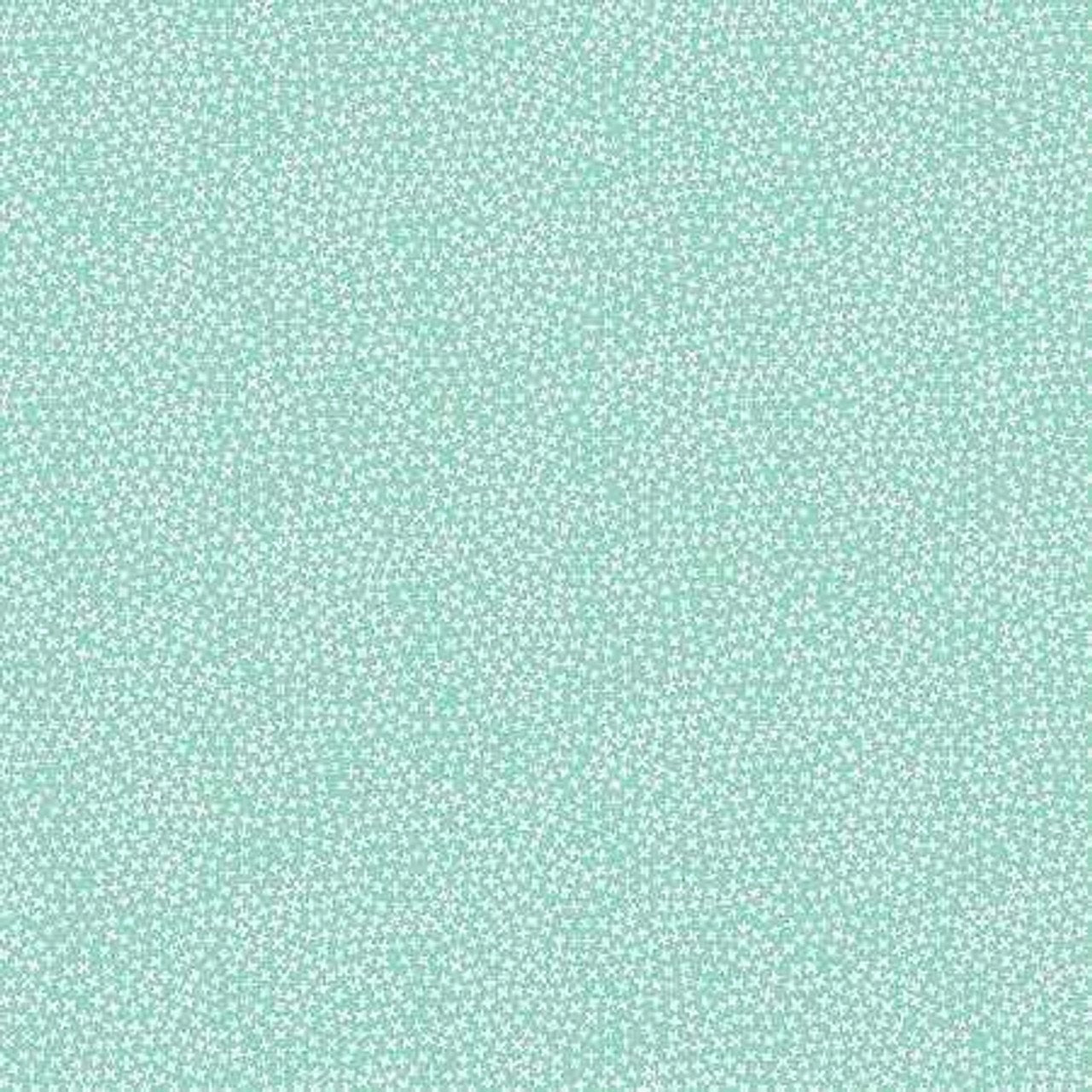 Dear Stella | Neptune