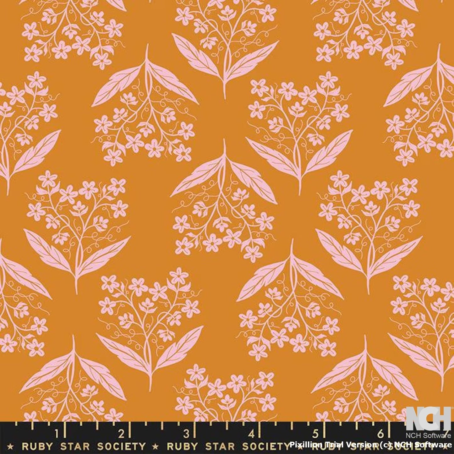 Ruby Star | Verbena | Jen Hewett | RS6034