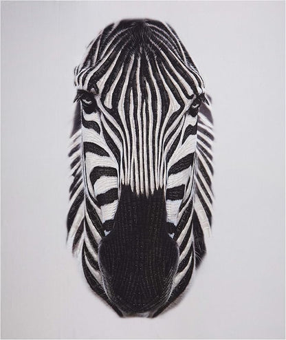 Riley Blake Zebra