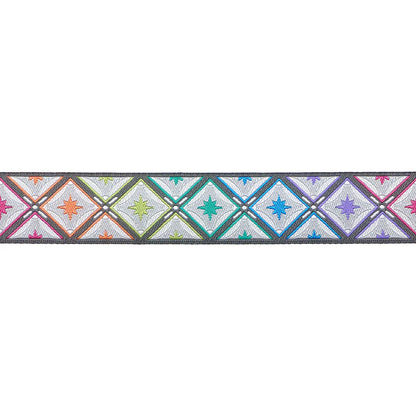 Ribbon | STARGAZER IN STORM - 7 |8" WIDTH - TULA PINK ROAR!