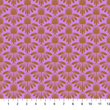 Anna Maria | Indelible | Coneflower | Taffy