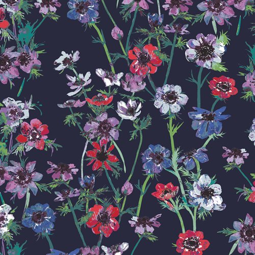 AGF | Anemone Study | Midnight